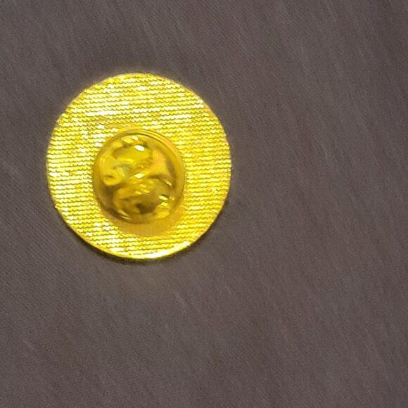 VINTAGE/RARE PENNSYLVANIA KNIGHTS OF COLUMBUS GOLD PIN. - Picture 2 of 2